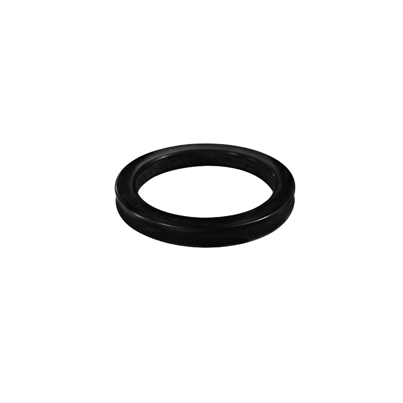 piston seal